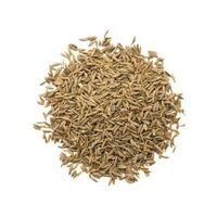 Spice 'Nut Co' Cumin Seeds 1kg 